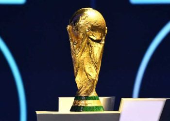এবার বিশ্বকাপ মাতাবেন এক বাংলাদেশিও
