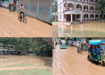নাগরপুর-চৌহালী সড়কের বেহাল দশা, চরম দুর্ভোগে জনসাধারণ