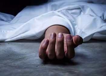 বিদ্যুৎস্পৃষ্টে ২ যুবকের মৃত্যু
