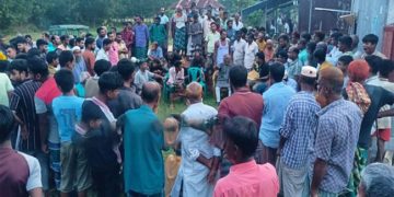 মির্জাপুরে চুরির অপবাদ দিয়ে দুই ভাইকে পিটিয়ে আহত
