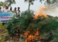 নাগরপুরের বনগ্রাম বিলে মোবাইল কোর্ট, ৩৫টি চায়না জাল জব্দ করে ধ্বংস
