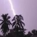 অজু করতে গিয়ে বজ্রাঘাতে ৩ মাদরাসাছাত্রের মৃত্যু, আহত ১