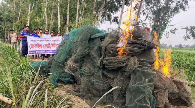 বাসাইলে ২লক্ষ ৫০ হাজার টাকার চায়না দুয়ারী জাল পুড়িয়ে ধ্বংস
