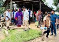 মধুপুরে বন বিভাগের অভিযান, ৬টি অবৈধ করাতকল উচ্ছেদ