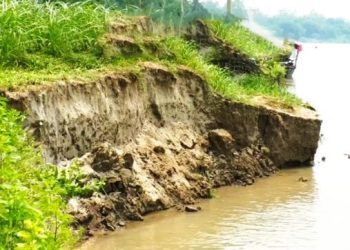 কালিহাতীতে ধলেশ্বরী নদীর তীব্র ভাঙন, ঝুঁকিতে ১৫ গ্রামের হাজারো মানুষ
