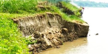 কালিহাতীতে ধলেশ্বরী নদীর তীব্র ভাঙন, ঝুঁকিতে ১৫ গ্রামের হাজারো মানুষ