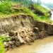 কালিহাতীতে ধলেশ্বরী নদীর তীব্র ভাঙন, ঝুঁকিতে ১৫ গ্রামের হাজারো মানুষ