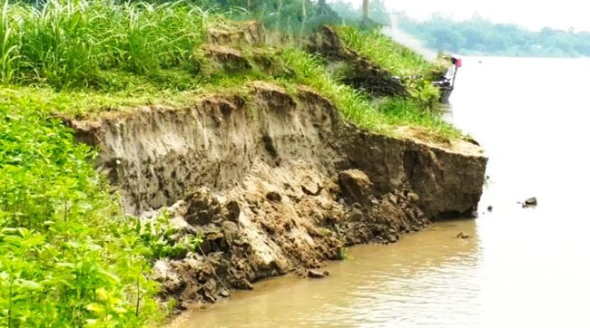 কালিহাতীতে ধলেশ্বরী নদীর তীব্র ভাঙন, ঝুঁকিতে ১৫ গ্রামের হাজারো মানুষ