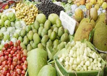 টাঙ্গাইলে রঙে-রসে মধু মাস, পরিপূর্ণ ফলের বাজার