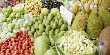 টাঙ্গাইলে রঙে-রসে মধু মাস, পরিপূর্ণ ফলের বাজার