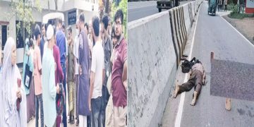 বাসাইলে সড়ক দুর্ঘটনায় পথচারী নিহত