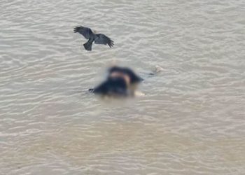 মির্জাপুরে বংশাই নদীতে ভাসমান অজ্ঞাত ব্যক্তির লাশ উদ্ধার