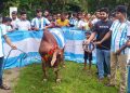 ফাইনাল ঘিরে গোপালগঞ্জে আর্জেন্টিনা সমর্থকদের ভূরিভোজ