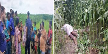 নাগরপুরে পাট ক্ষেত থেকে অর্ধগলিত লাশ উদ্ধার