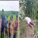 নাগরপুরে পাট ক্ষেত থেকে অর্ধগলিত লাশ উদ্ধার