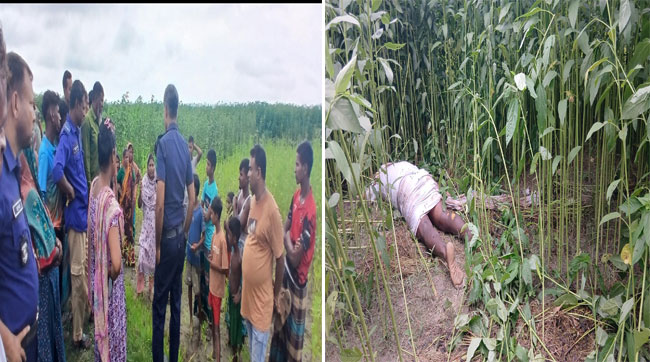 নাগরপুরে পাট ক্ষেত থেকে অর্ধগলিত লাশ উদ্ধার