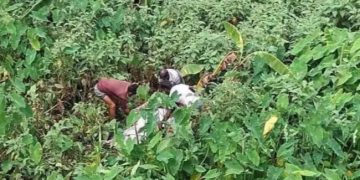 টাঙ্গাইলে দুই দিন পর নিখোঁজ বিধবার মরদেহ উদ্ধার, পরিবারের দাবি খুন