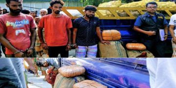 গোপালপুর আলুর পিকআপে ৪০ কেজি গাঁজা, র‍্যাবের অভিযানে আটক ৩