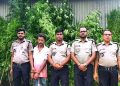 টাঙ্গাইলে পাট ক্ষেত থেকে ১১টি গাঁজার গাছসহ মাদক ব্যবসায়ী গ্রেফতার