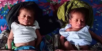 ঘাটাইলে ৫ দিনের যমজ নবজাতক ফেলে পালালেন মা , বিপাকে পরিবার