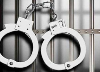 রাজধানীতে ২৪ ঘণ্টায় ৫০১ জন গ্রেপ্তার, উদ্ধার ইয়াবা-অস্ত্র
