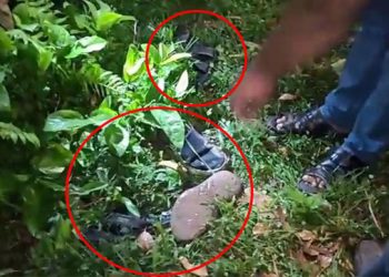 বগুড়ায় সাবেক ইউপি সদস্যকে কুপিয়ে হত্যা, তদন্তে পুলিশ