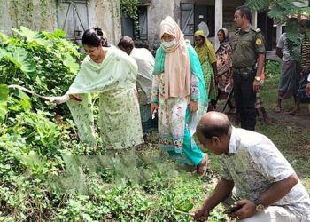 কালিহাতী উপজেলা স্বাস্থ্য কমপ্লেক্সে পৌরসভার উদ্যোগে পরিচ্ছন্নতা অভিযান