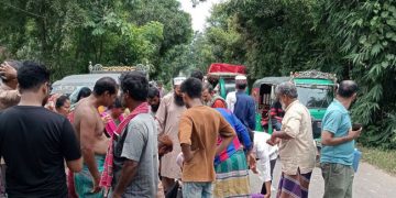 সখীপুরে ট্রাকের চাকায় পিষ্ট হয়ে তরুণীর মৃত্যু