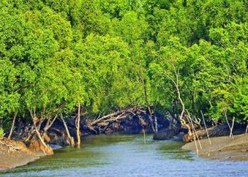 তিন মাস পর পর্যটকদের জন্য খুলছে সুন্দরবন