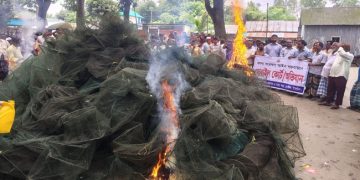 বাসাইলে অবৈধ চায়না দুয়ারী ও কারেন্ট জাল জব্দ, জনসম্মুখে পুড়িয়ে ধ্বংস