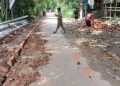 নাগরপুরে নিম্নমানের ইট ও রাস্তার প্রস্থ কমানোর অভিযোগ, কাজ বন্ধ