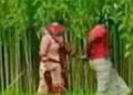 নাগরপুরে গৃহবধূকে পাটক্ষেতে নিয়ে সংঘবদ্ধ ধর্ষণের অভিযোগ