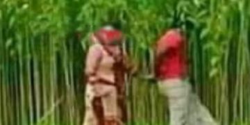 নাগরপুরে গৃহবধূকে পাটক্ষেতে নিয়ে সংঘবদ্ধ ধর্ষণের অভিযোগ