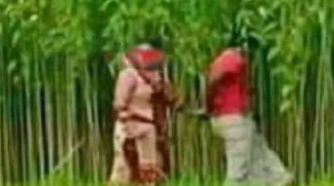 নাগরপুরে গৃহবধূকে পাটক্ষেতে নিয়ে সংঘবদ্ধ ধর্ষণের অভিযোগ