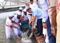 বিএনপির প্রতিষ্ঠাবার্ষিকীতে জিয়া উদ্যানে বৃক্ষরোপণ ও মাছের পোনা অবমুক্ত করলেন প্রধানমন্ত্রী