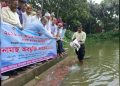 গোপালপুরে মাছের পোনা অবমুক্ত করন উদ্বোধন করেন আব্দুস সালাম পিন্টু