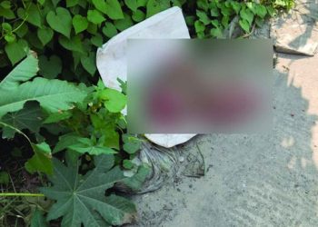 মির্জাপুরে জঙ্গল থেকে এক দিনের নবজাতকের মরদেহ উদ্ধার