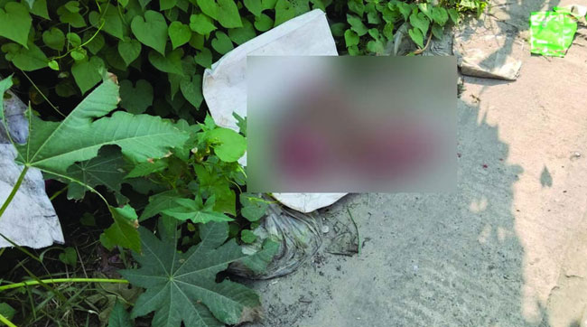 মির্জাপুরে জঙ্গল থেকে এক দিনের নবজাতকের মরদেহ উদ্ধার
