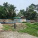 দখলে বিলীন টাঙ্গাইল শহরের প্রাণ শ্যামা বাবুর খাল