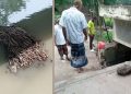 কালিহাতীতে ঠেলাগাড়ি উল্টে চালক নিহত