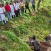 সরকারি মৎস্য খামারে আধুনিক প্রযুক্তি ব্যবহারে জোর প্রতিমন্ত্রী টুকুর