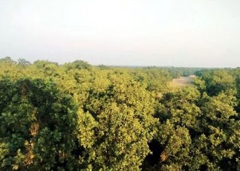 বন ও কৃষিজমিতে রিসোর্ট, সাভারে পরিবেশগত চরম ঝুঁকির আশঙ্কা