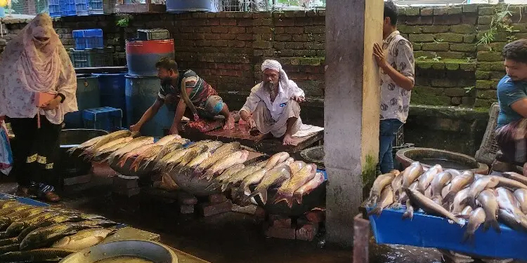 ময়মনসিংহে উত্তপ্ত বাজার: আগুন ডিম, বেগুন ও কাঁচামরিচে
