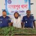 নাগরপুরে বসতবাড়ির ভিটায় গাঁজা চাষ: ৫টি গাছসহ গ্রেপ্তার ১