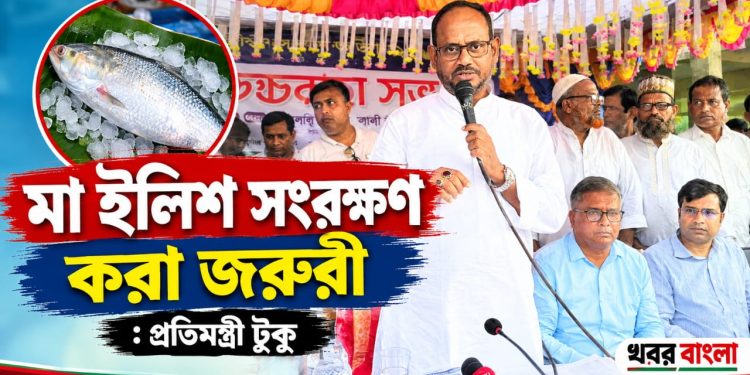 ইলিশ বাংলাদেশের গর্ব, তাই মা মাছ সংরক্ষণ জরুরী: প্রতিমন্ত্রী টুকু